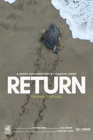 Return: Saving Turtles