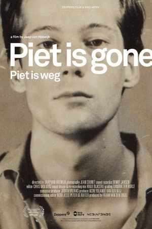 Piet is Gone