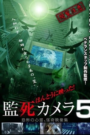 Paranormal Surveillance Camera 5