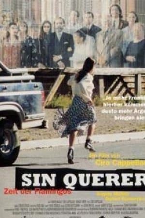 Sin querer