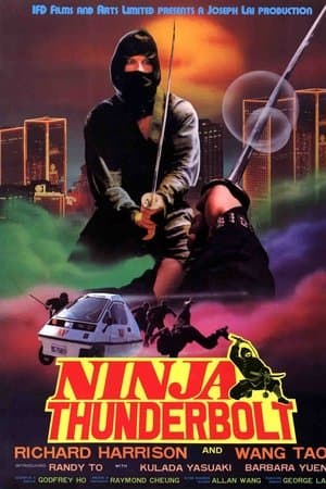 Ninja Thunderbolt