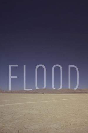 Flood