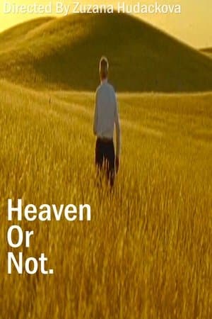 Heaven Or Not