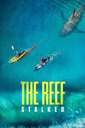 The Reef: Stalked