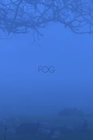 Fog