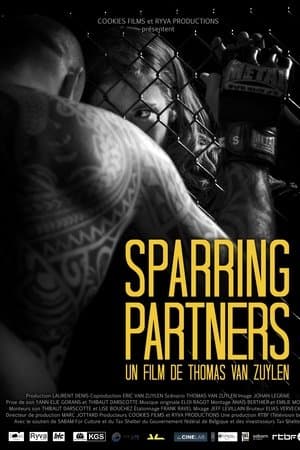 Sparring Partners