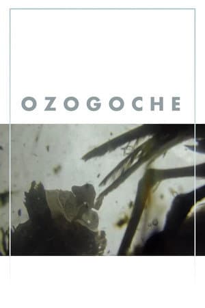Ozogoche