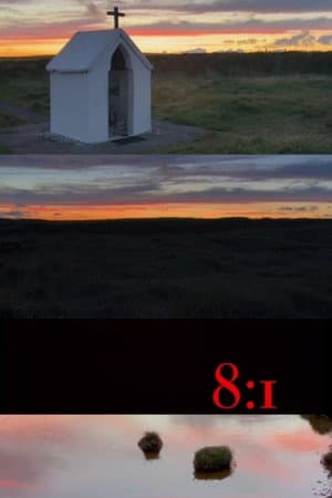 8:1