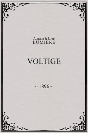 Voltige