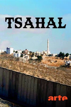 Tsahal, l’armée israélienne à l’épreuve