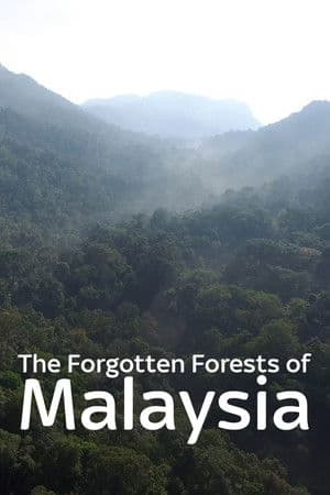 The Forgotten Forests of Malaysia