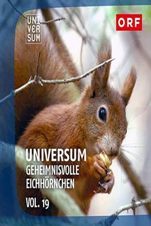 Geheimnisvolle Eichhörnchen