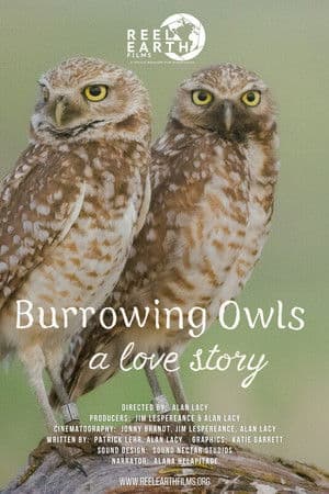 Burrowing Owls: A Love Story