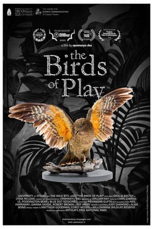 The Birds of Play