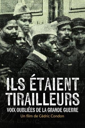 Ils étaient tirailleurs, voix oubliées de la Grande Guerre