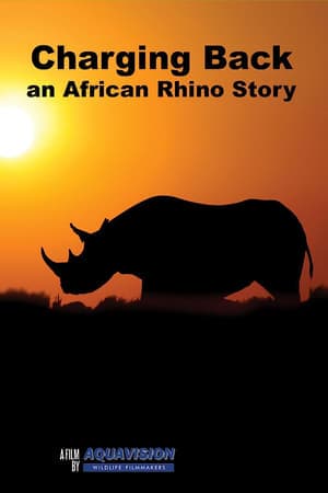 Charging Back: A Rhino Story