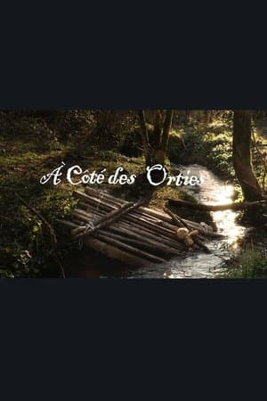 A côté des orties