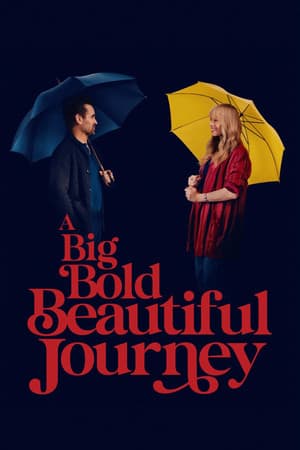 A Big Bold Beautiful Journey