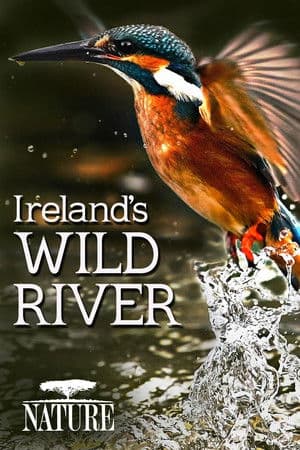 Ireland's Wild River