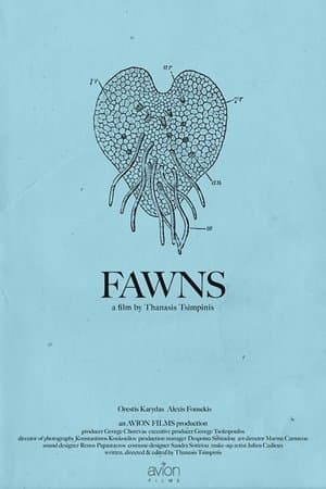 Fawns