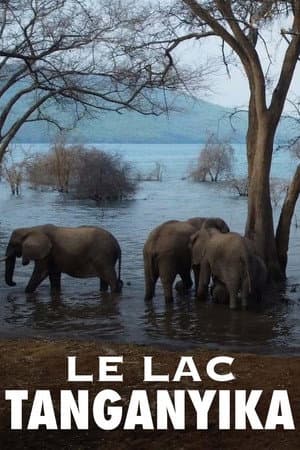 Le lac Tanganyika, la source de vie de l'Afrique