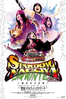 Stardom Nagoya Big Winter 2023