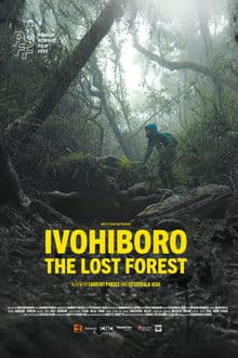 Ivohiboro, The Lost Forest