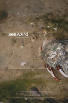 seaward