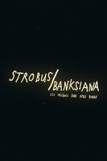 Strobus / Banksiana : les racines d'un opus double