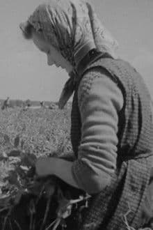 Over de jaargetijden heen