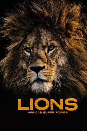 Lions: Africa's Super Power
