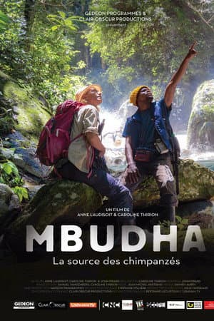 Mbudha, in the Chimpanzees' Footsteps