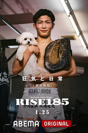 RISE 185