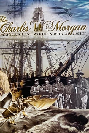 The Charles W Morgan America's Last Wooden Whaling Ship