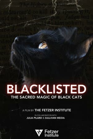 Blacklisted